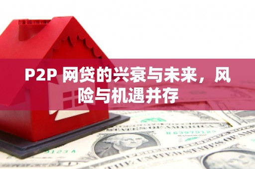 沂源P2P 网贷的兴衰与未来，风险与机遇并存