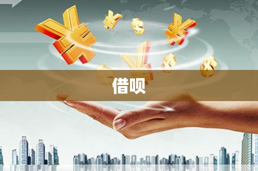 沂源借呗
