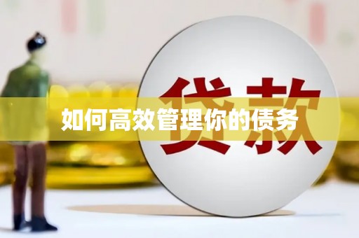 沂源如何高效管理你的债务