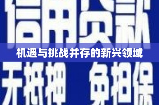 沂源机遇与挑战并存的新兴领域